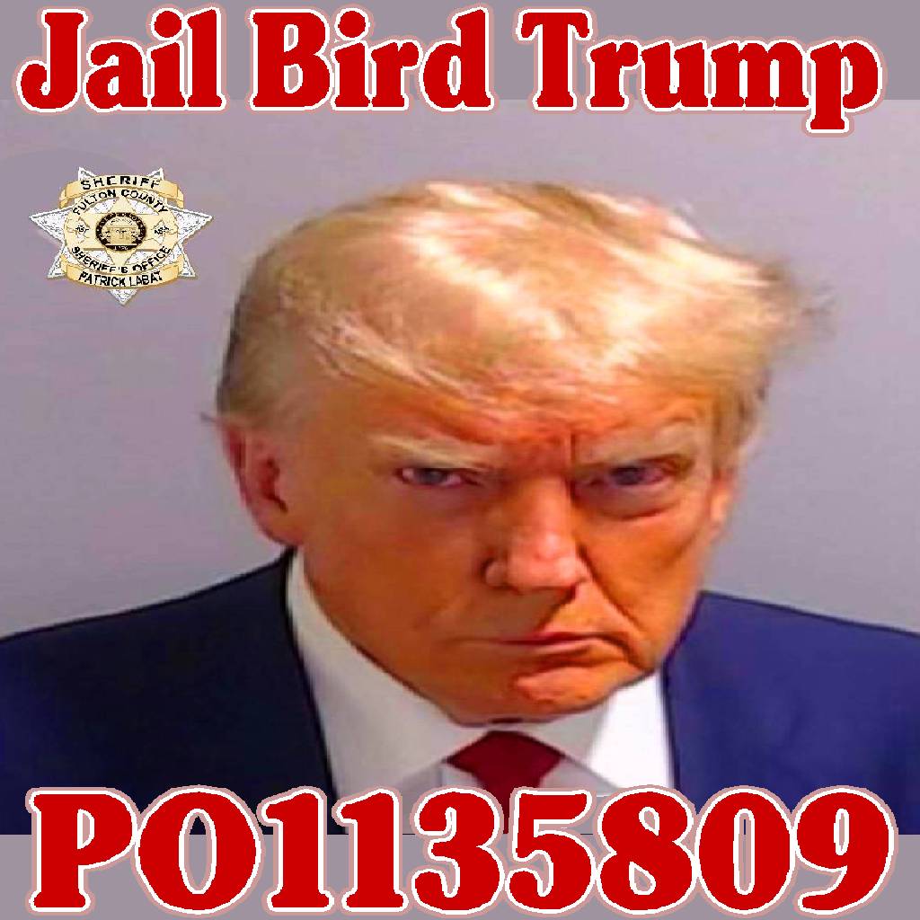 Jail Bird Trump:  What do you see in X-president Trump's mug shot?