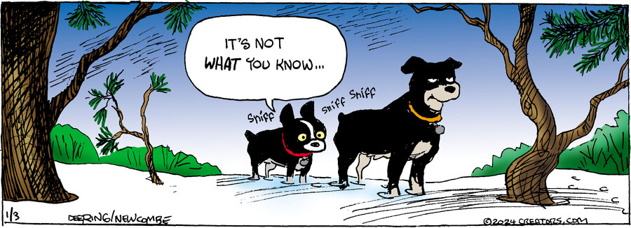 Zack Hill for Jan 03, 2024