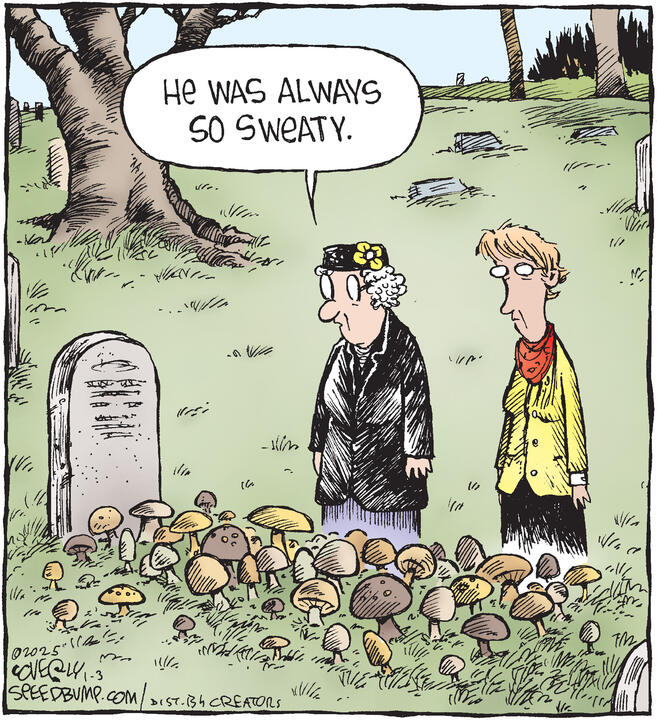 Speed Bump for Jan 03, 2025