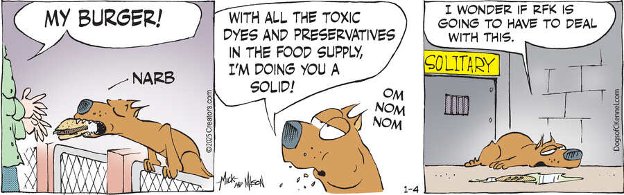 Dogs of C-Kennel for Jan 04, 2025
