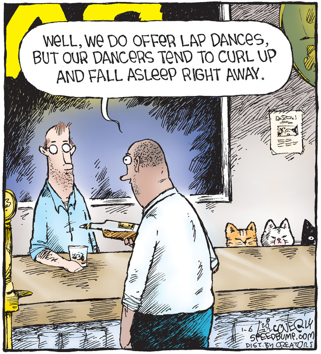 Speed Bump for Jan 06, 2022