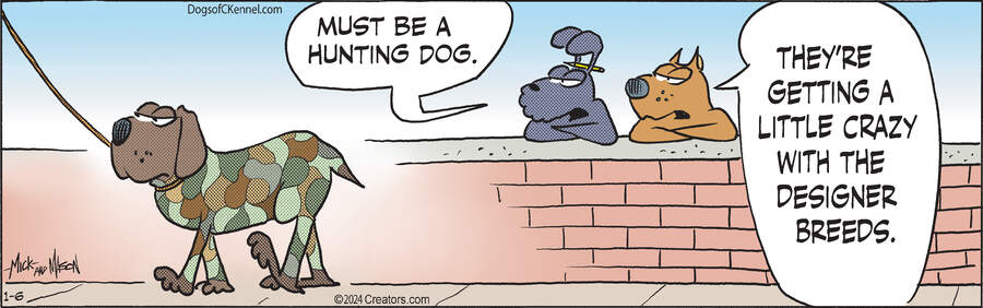 Dogs of C-Kennel for Jan 06, 2024