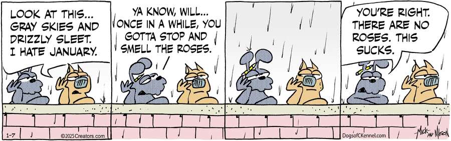 Dogs of C-Kennel for Jan 07, 2025