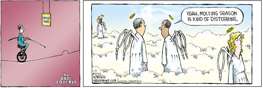 Speed Bump for Jan 09, 2022