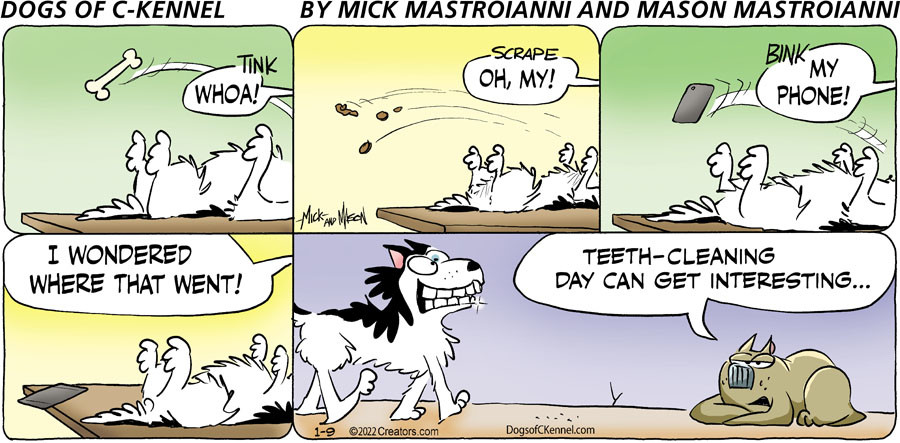 Dogs of C-Kennel for Jan 09, 2022