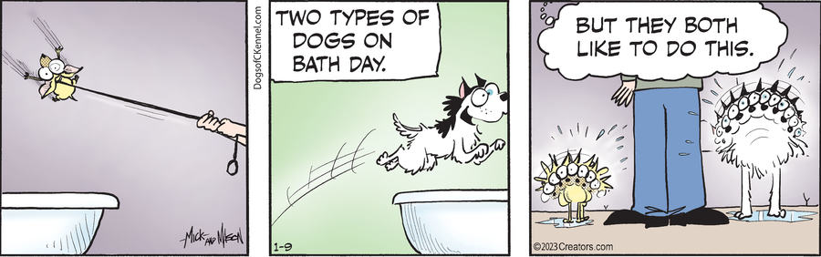 Dogs of C-Kennel for Jan 09, 2023