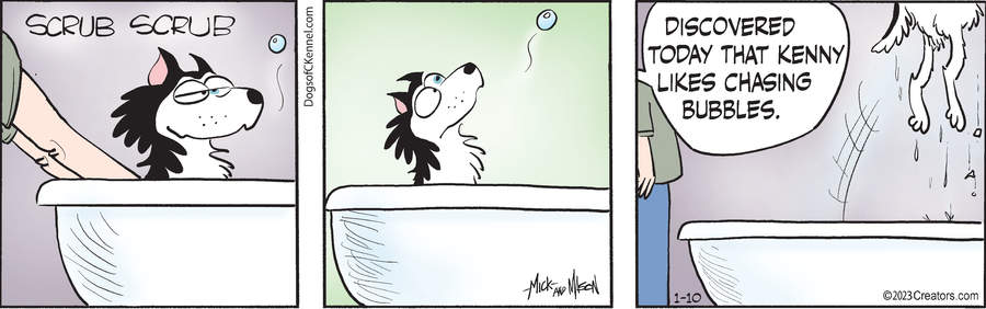 Dogs of C-Kennel for Jan 10, 2023