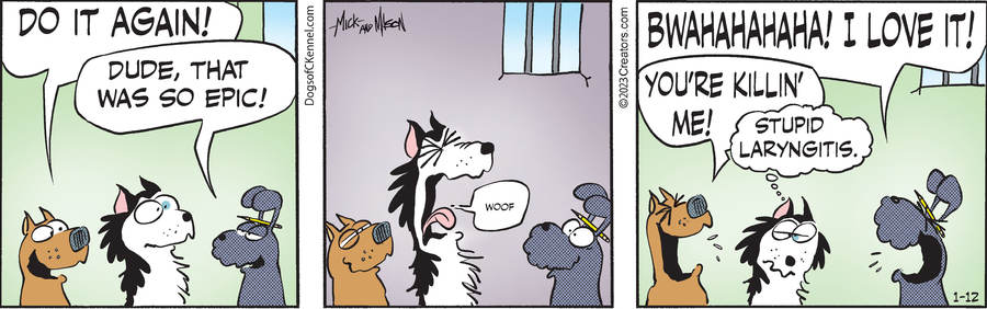 Dogs of C-Kennel for Jan 12, 2023
