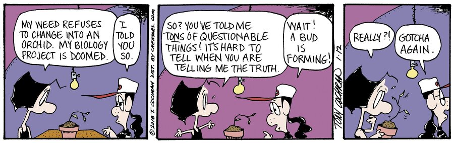 Agnes for Jan 12, 2024