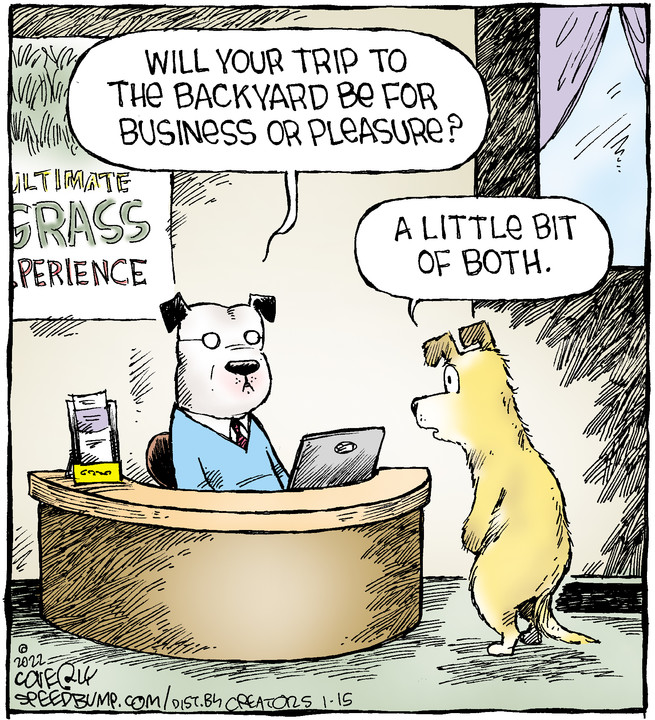 Speed Bump for Jan 15, 2022