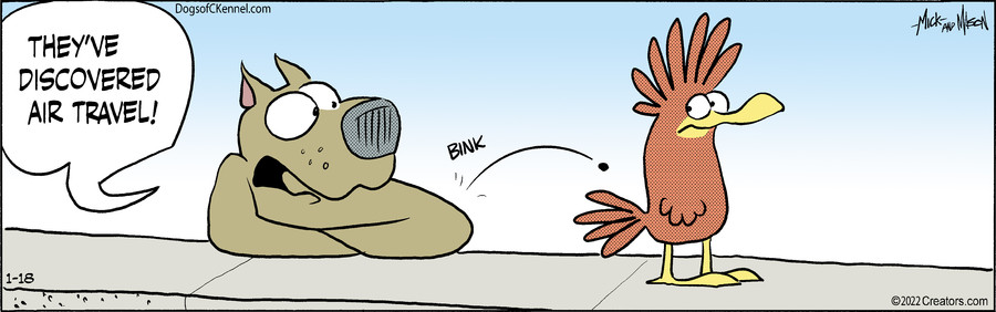 Dogs of C-Kennel for Jan 18, 2022