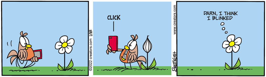 Diamond Lil for Jan 18, 2022