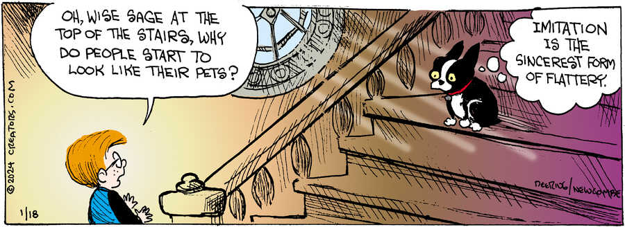 Zack Hill for Jan 18, 2024