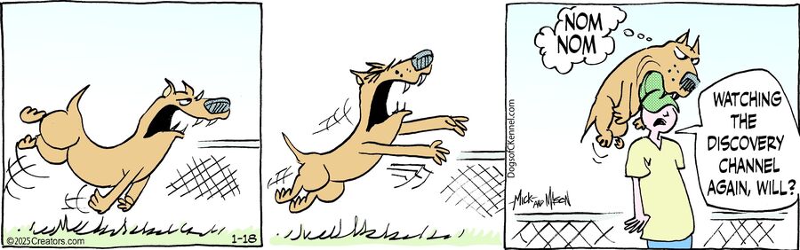 Dogs of C-Kennel for Jan 18, 2025