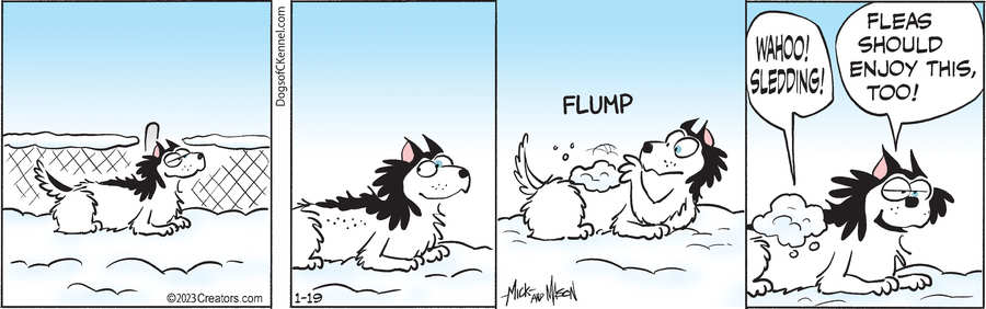 Dogs of C-Kennel for Jan 19, 2023
