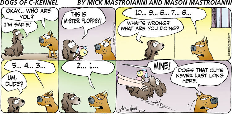 Dogs of C-Kennel for Jan 19, 2025