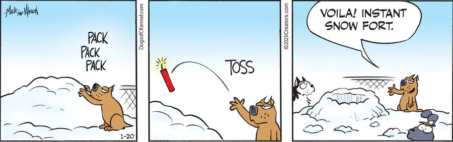 Dogs of C-Kennel for Jan 20, 2023