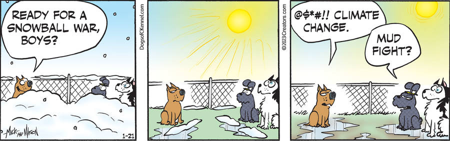 Dogs of C-Kennel for Jan 21, 2023