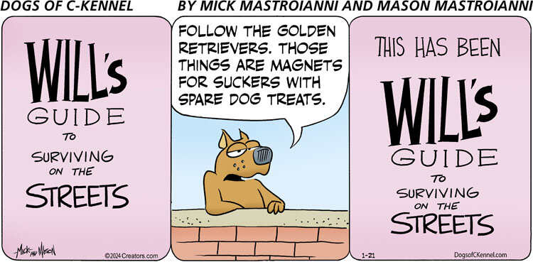 Dogs of C-Kennel for Jan 21, 2024