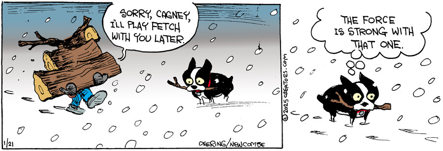 Zack Hill for Jan 21, 2025