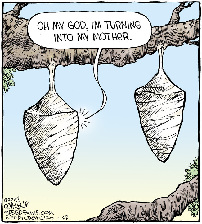 Speed Bump for Jan 22, 2022