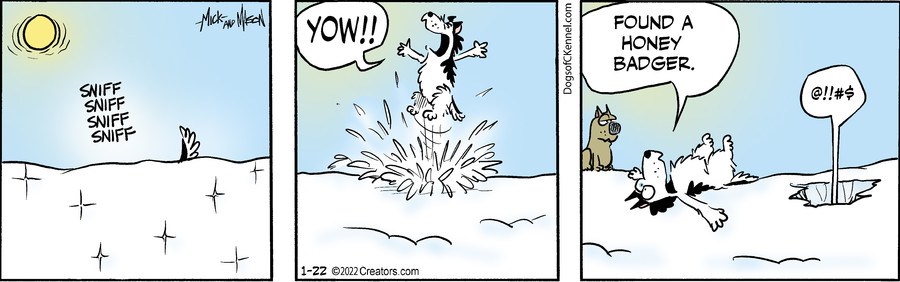 Dogs of C-Kennel for Jan 22, 2022