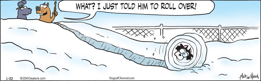 Dogs of C-Kennel for Jan 22, 2024