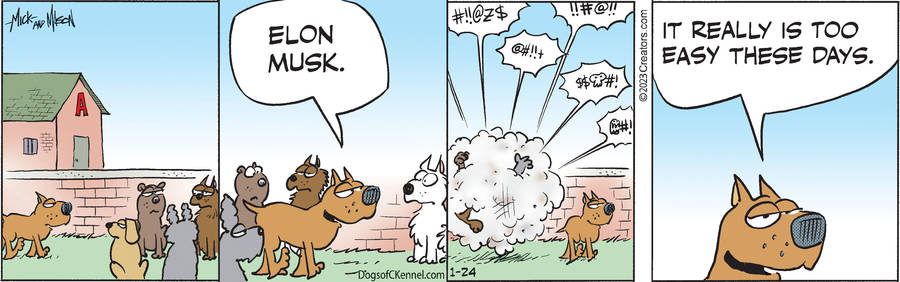 Dogs of C-Kennel for Jan 24, 2023