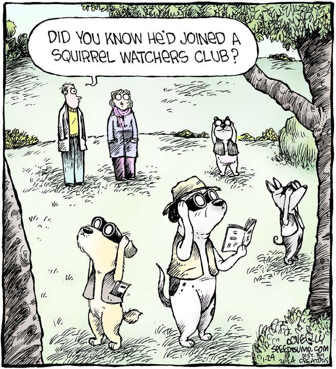 Speed Bump for Jan 24, 2024