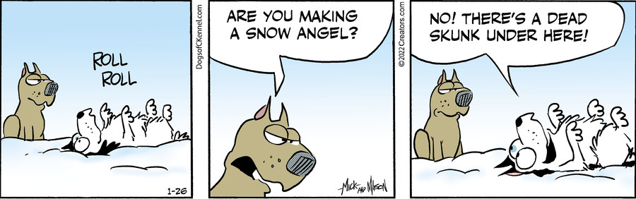 Dogs of C-Kennel for Jan 26, 2022