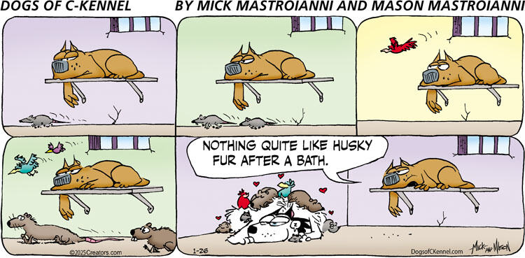 Dogs of C-Kennel for Jan 26, 2025