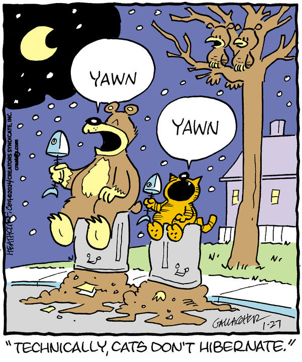 Heathcliff for Jan 27, 2024