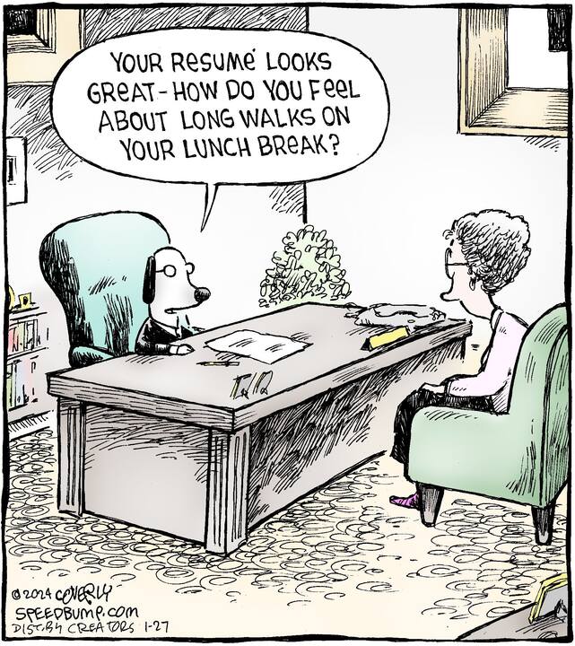 Speed Bump for Jan 27, 2024