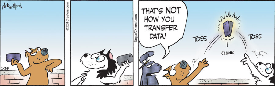 Dogs of C-Kennel for Jan 29, 2024