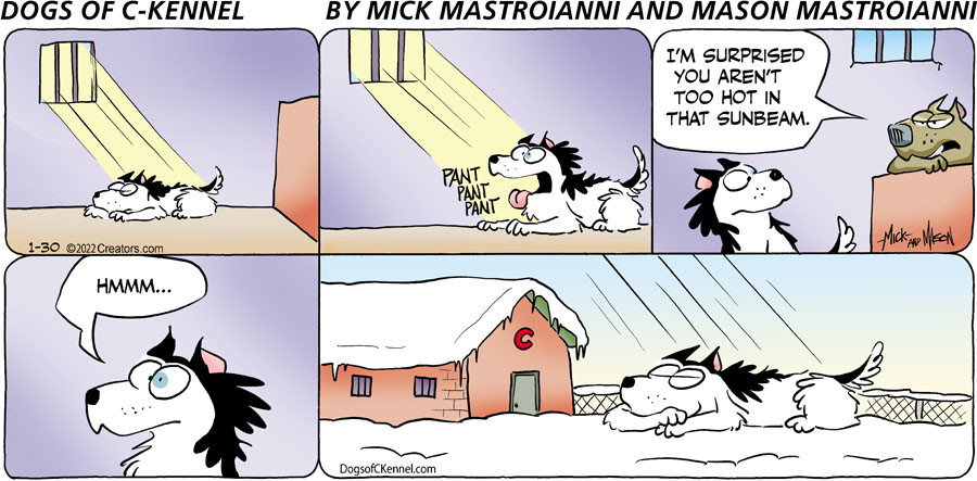 Dogs of C-Kennel for Jan 30, 2022
