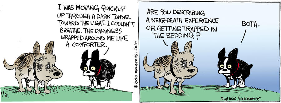 Zack Hill for Jan 31, 2023