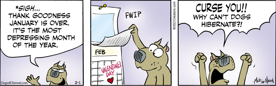 Dogs of C-Kennel for Feb 01, 2022