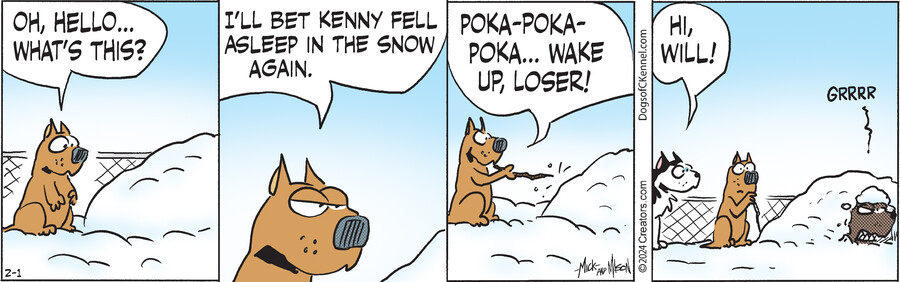 Dogs of C-Kennel for Feb 01, 2024