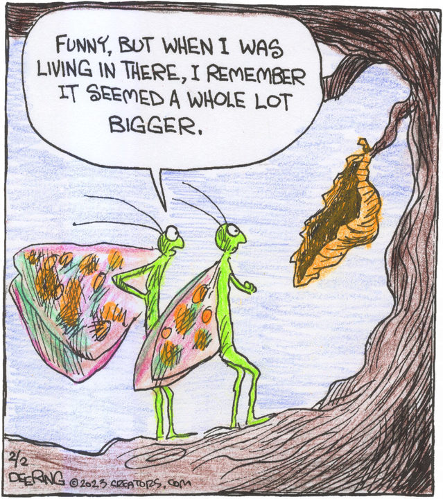 Strange Brew for Feb 02, 2023