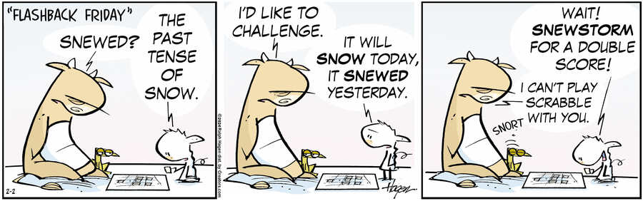 The Barn for Feb 02, 2024