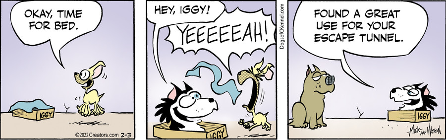 Dogs of C-Kennel for Feb 03, 2022