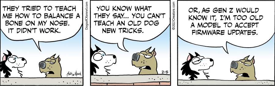 Dogs of C-Kennel for Feb 05, 2022