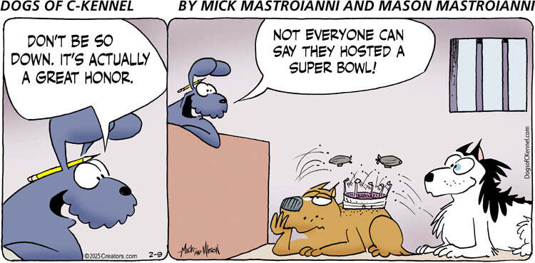 Dogs of C-Kennel for Feb 09, 2025