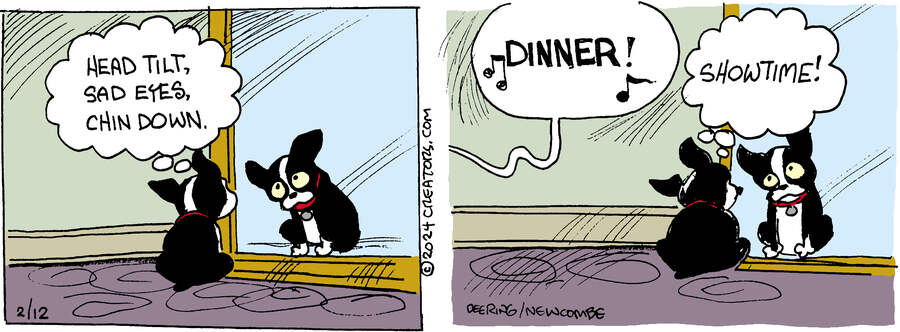 Zack Hill for Feb 12, 2024