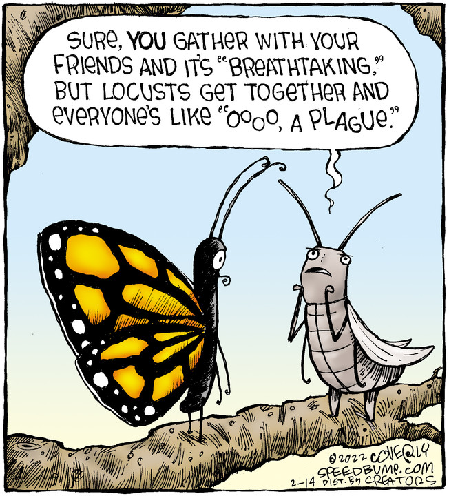 Speed Bump for Feb 14, 2022