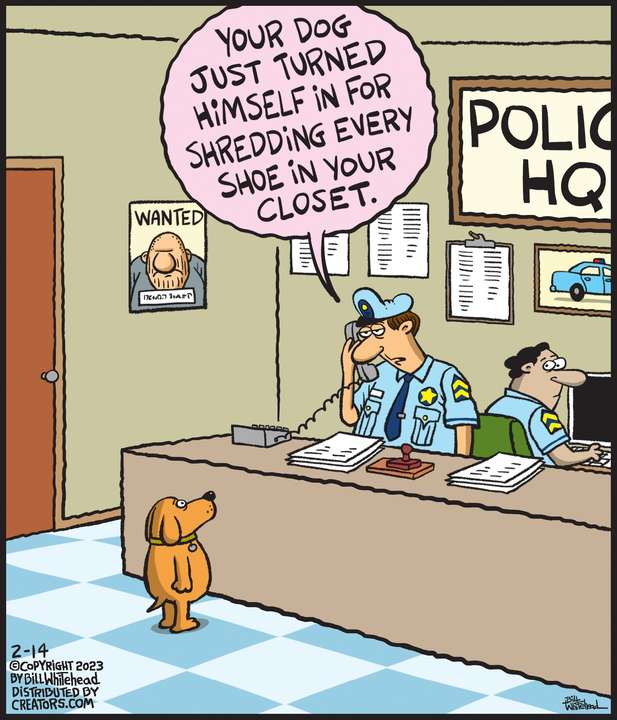 Free Range for Feb 14, 2023