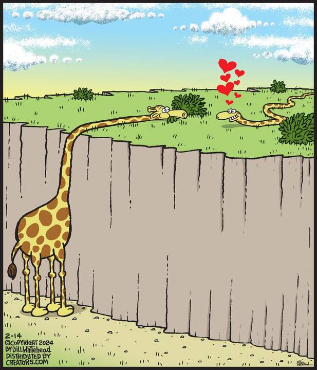 Free Range for Feb 14, 2024