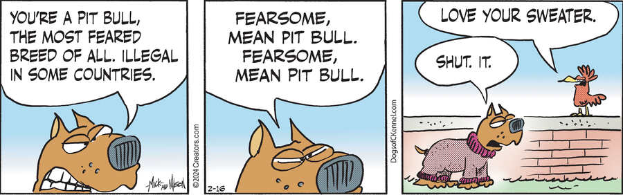 Dogs of C-Kennel for Feb 16, 2024