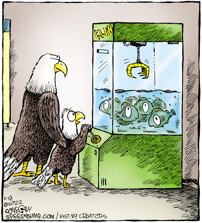 Speed Bump for Feb 18, 2022