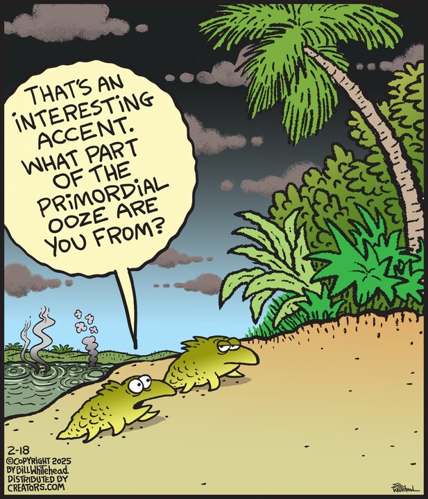 Free Range for Feb 18, 2025